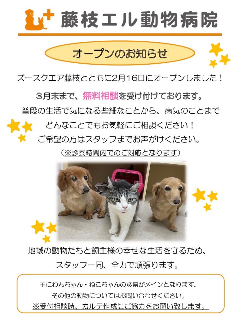 無料相談実施中！
