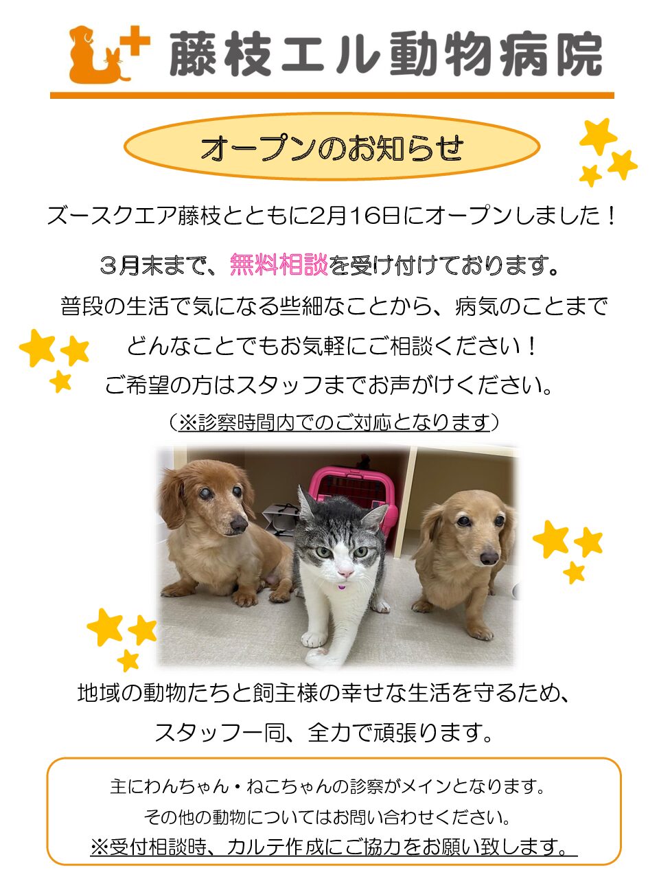 無料相談実施中!