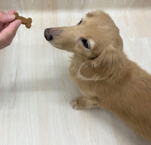 暖かくなってきました!
