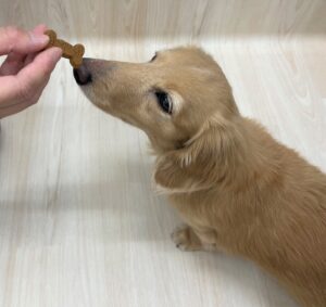暖かくなってきました!