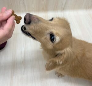 暖かくなってきました!
