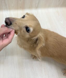 暖かくなってきました!